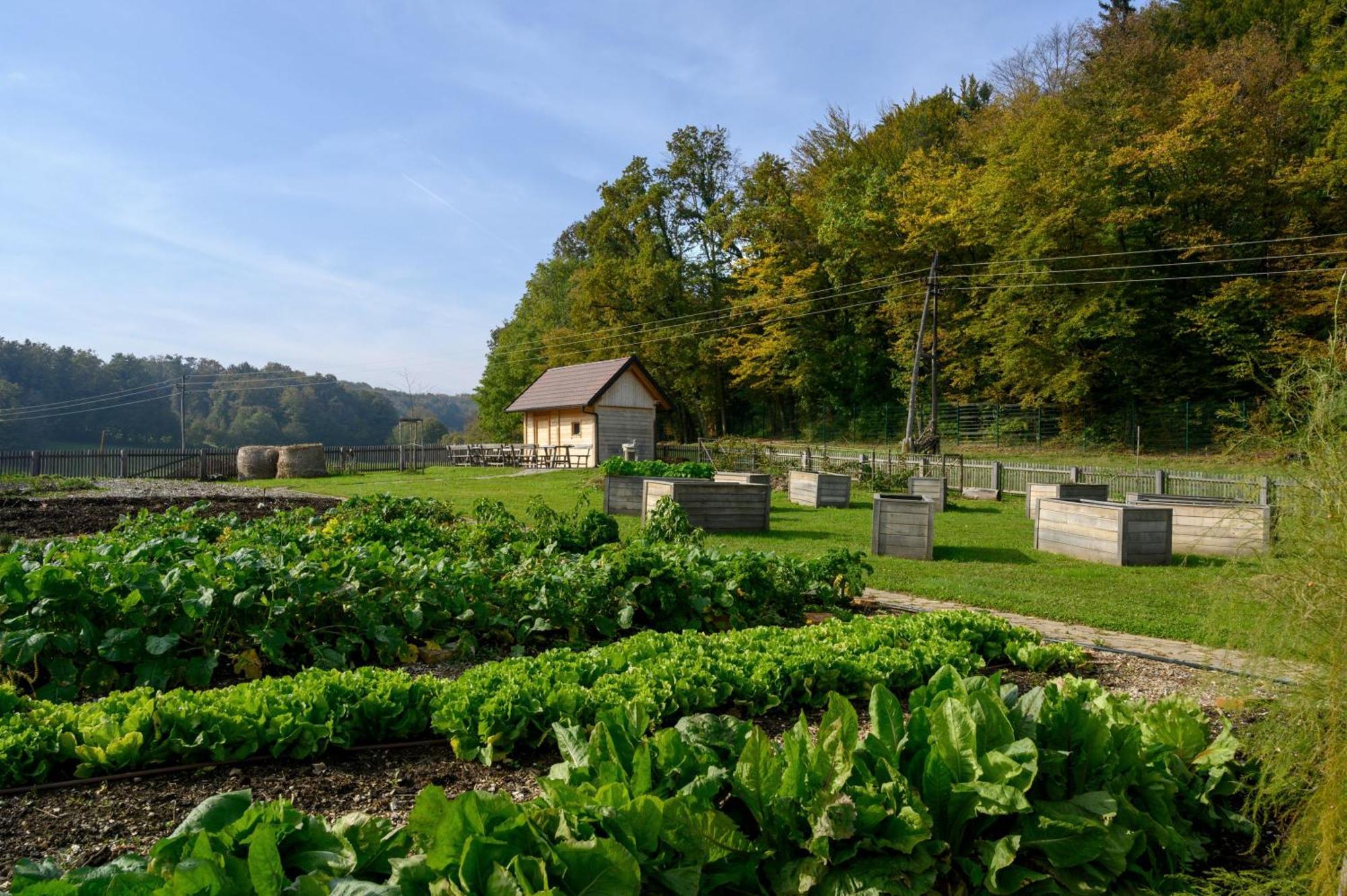 Hotel Grad Otocec - Relais Chateaux Luaran gambar